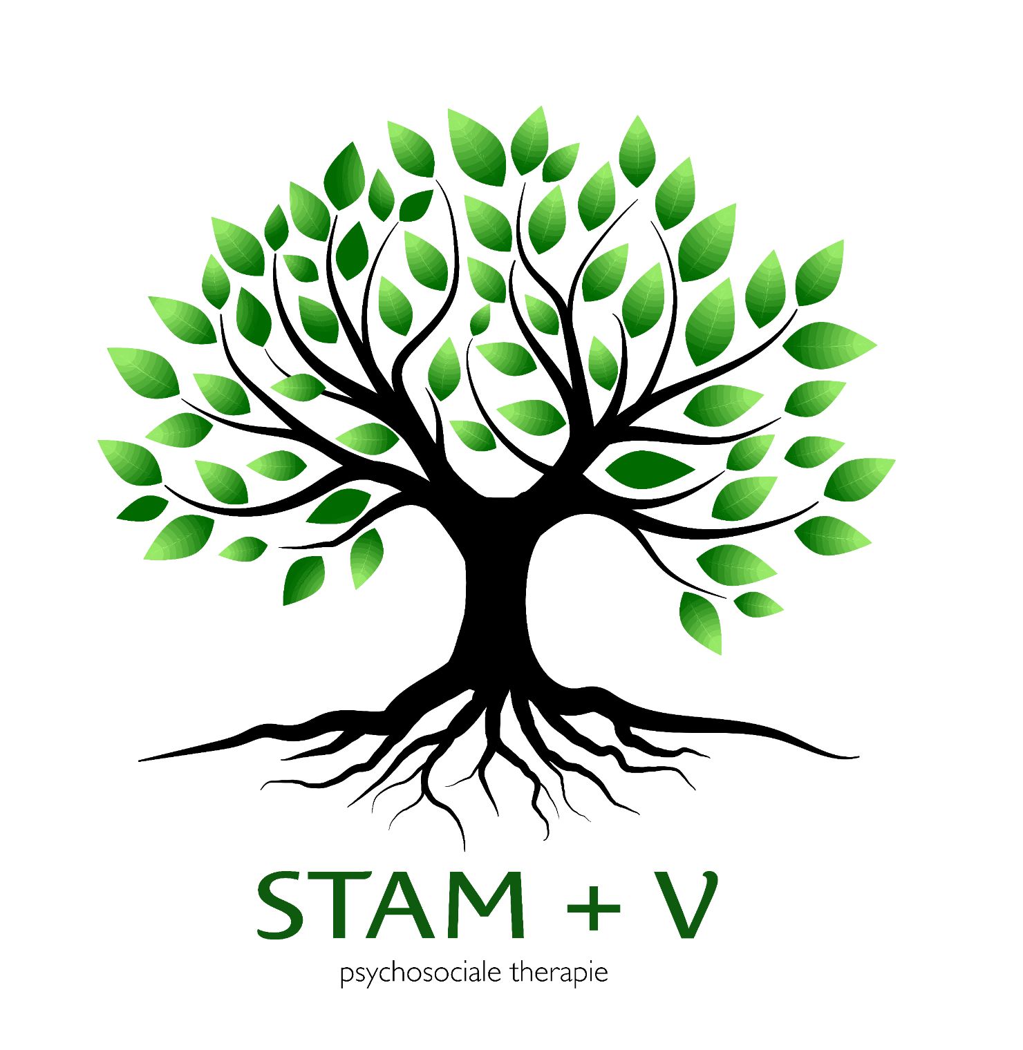 Logo Stam + V